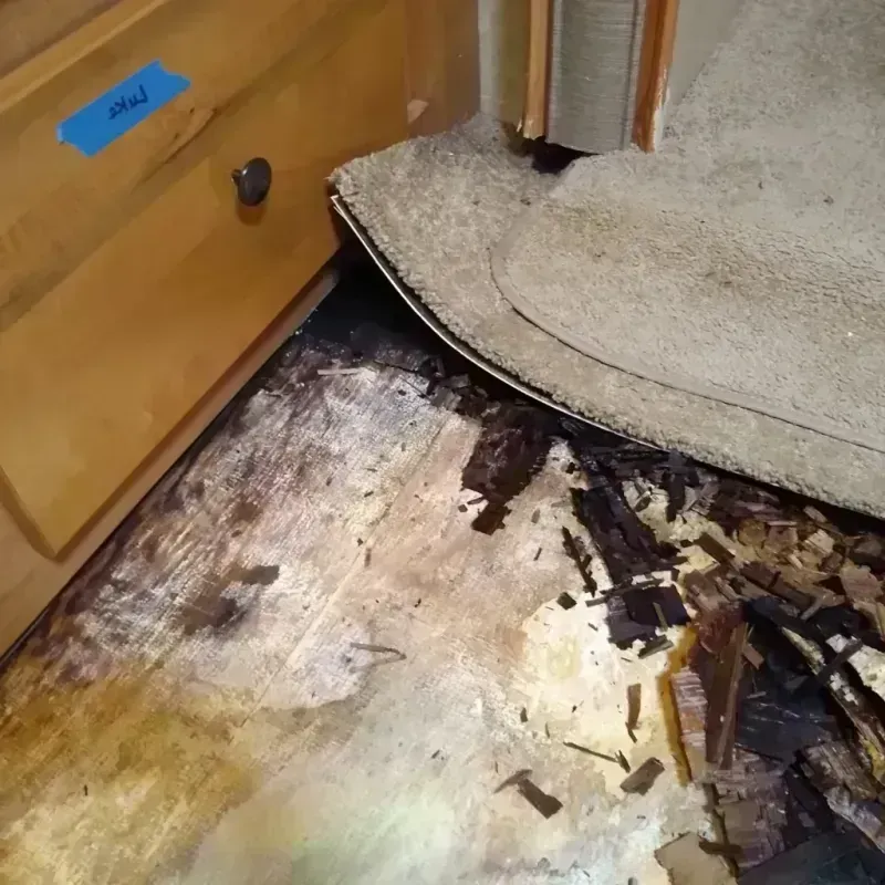 Wood Floor Water Damage in Volusia County, FL